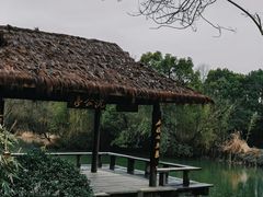 -西溪国家湿地公园