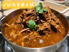 -浩爷羊蝎子火锅(望京店)