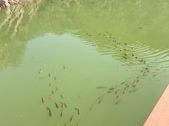 -桑干河大峡谷旅游区