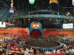 -俄罗斯国家大马戏团