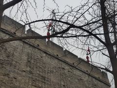 -西安城墙·碑林历史文化景区