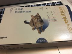 -瑞派宠物医院(锦江店)