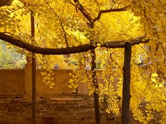 -阳台山自然风景区