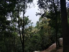 -火炉山森林公园