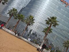 -金沙湖公园