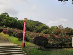 -紫马岭游泳馆