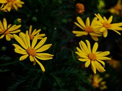 -上海交通大学(闵行校区)