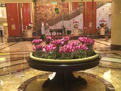 -北京中国大饭店