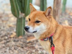 -MOJ coffee(瓯海泽雅水碓坑店)