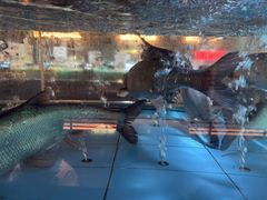 -紫阳海鲜楼·传承闽味(长乐路总店)