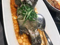 清蒸东星斑-徐记海鲜·宴会(大唐西市|丰庆店)