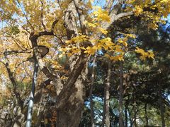 -长辛店二七公园