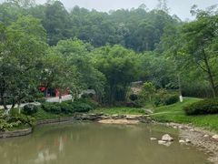 -火炉山森林公园