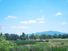 -野鸭湖国家湿地公园