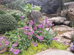 -广州市白云山风景名胜区