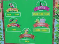 -广州长隆飞鸟乐园