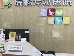 -瑞鹏宠物医院犬猫全科(真大分院)
