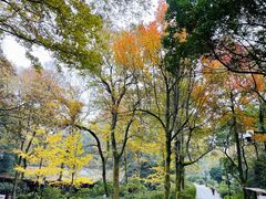 -岳麓山风景名胜区