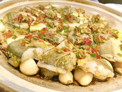 -宝轩渔府·老字号海鲜·正宗津菜(水上店)