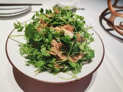 -阿五黄河大鲤鱼(纬三路店)