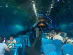 -海棠湾洲际-涛·海底餐厅·美人鱼·自助餐·海底隧道