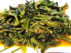 -滇铺子·云南特色菜·第九届野生菌美食节(东风东路c86店)