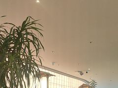 -桂满陇·蟹黄小笼汤包(巴黎春天浦建店)
