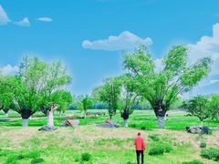 -汉长安城未央宫国家考古遗址公园