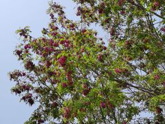 -永定河休闲森林公园