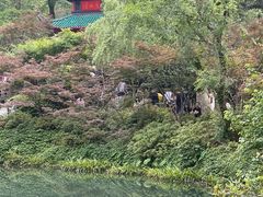 -岳麓山风景名胜区