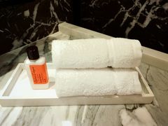 -广州四季酒店