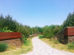 -东郊湿地公园
