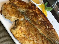 -赶海部落海鲜城(海阳路店)