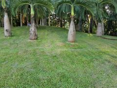 -荔枝公园(福田区)