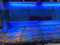 -義聚德·清真铜锅涮羊肉·烧烤(河东店)