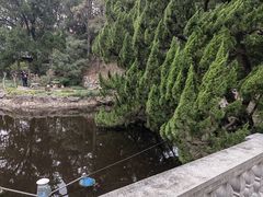-叶家花园