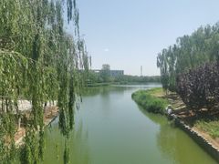 -大兴滨河森林公园