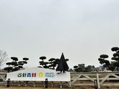 -空港花田景区