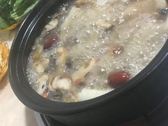 -蘑统田下·野生菌火锅