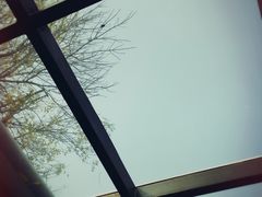 -VOYAGE COFFEE(北锣鼓巷店)