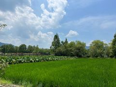 -山水一号·中餐厅