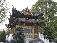 -上海东林寺(金山区)