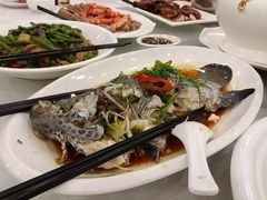 -姚林轩