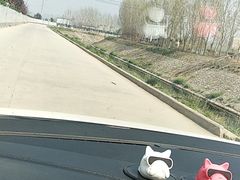 -何老二卤汁凉粉