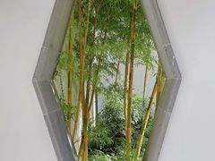 -拙政园