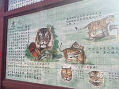 -保定市动物园