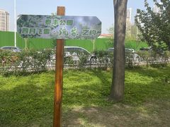 -泰丰公园