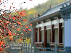-青檀寺景区
