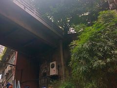 -琬苑鸽庄·川粤融合菜(解放碑总店)