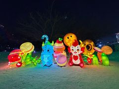 -沈阳奥体冰雪嘉年华